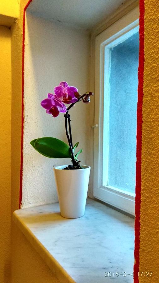 Bed & Breakfast Le Rondini Di San Donato