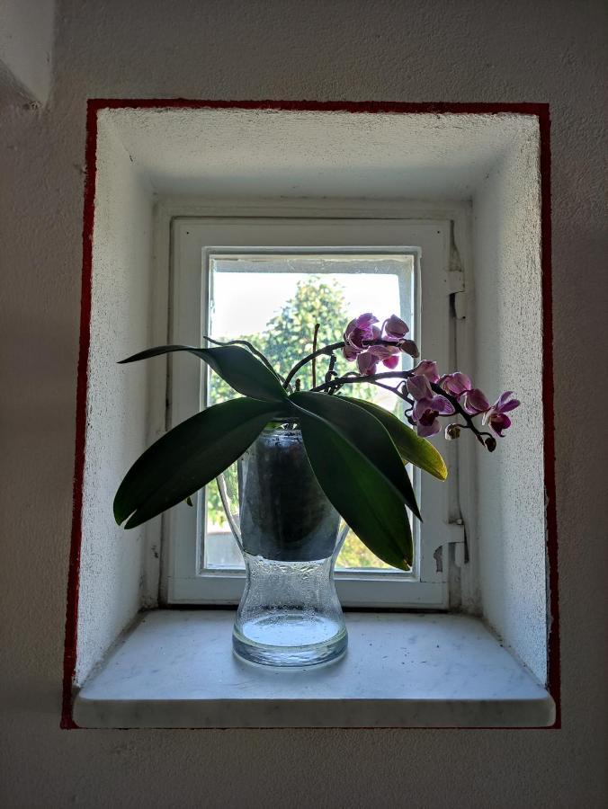 Bed & Breakfast Le Rondini Di San Donato *
