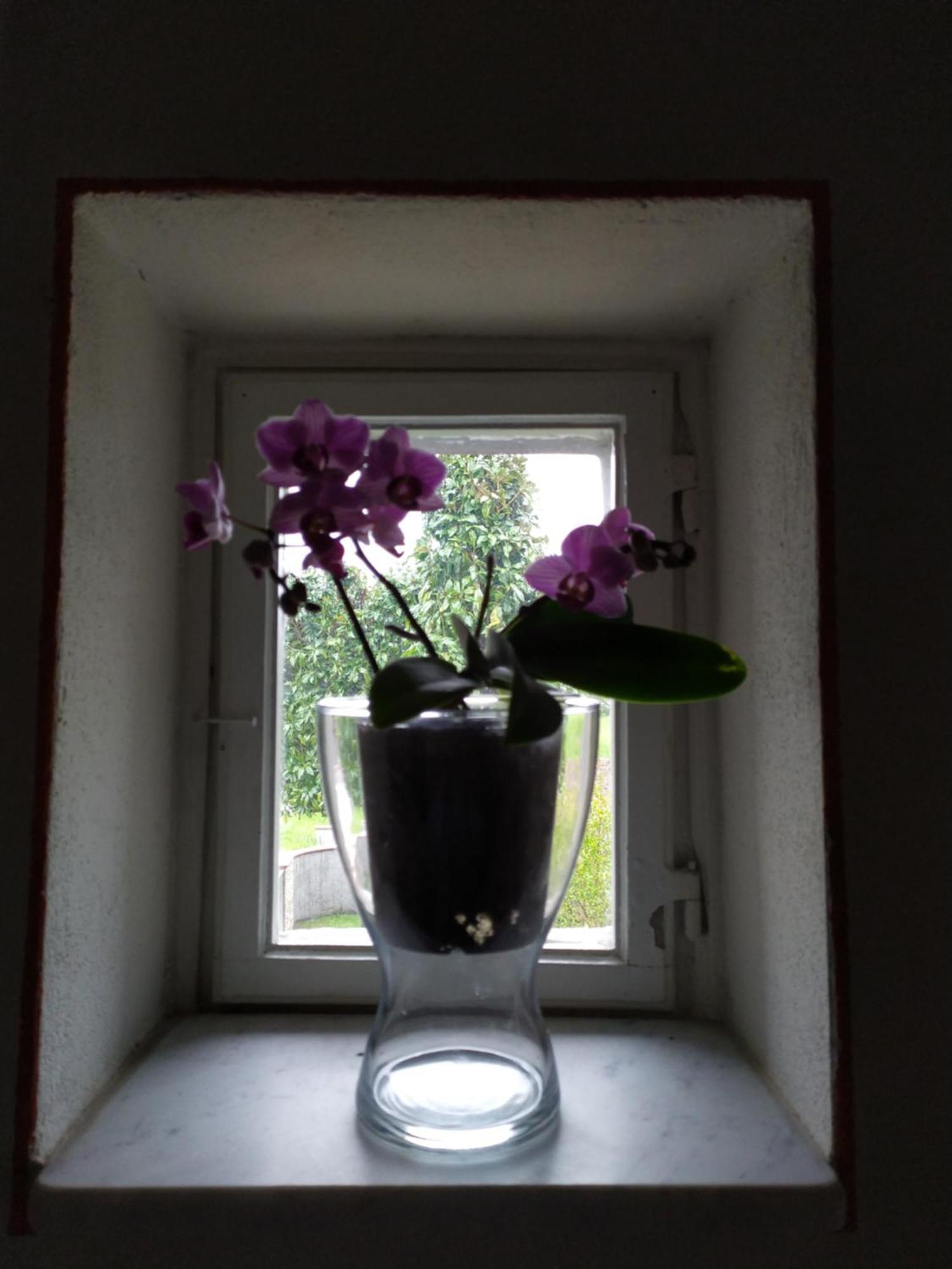Le Rondini Di San Donato Bed & Breakfast Lucca